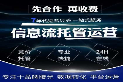 探索专业SEM托管的奥秘：从案例看效果